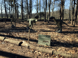 Statues of Allosauruses in the Oertijdwoud forest of the Oertijdmuseum, with explanation