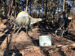 Statues of Spinosauruses in the Oertijdwoud forest of the Oertijdmuseum, with explanation