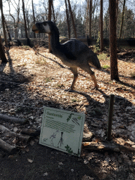 Statue of a Gastornis in the Oertijdwoud forest of the Oertijdmuseum, with explanation