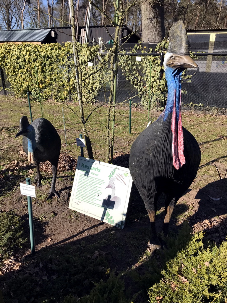 Statues of Kasuarises in the Garden of the Oertijdmuseum, with explanation