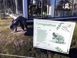 Statue of a Cynognathus in front of the Dinohal building in the Garden of the Oertijdmuseum, with explanation