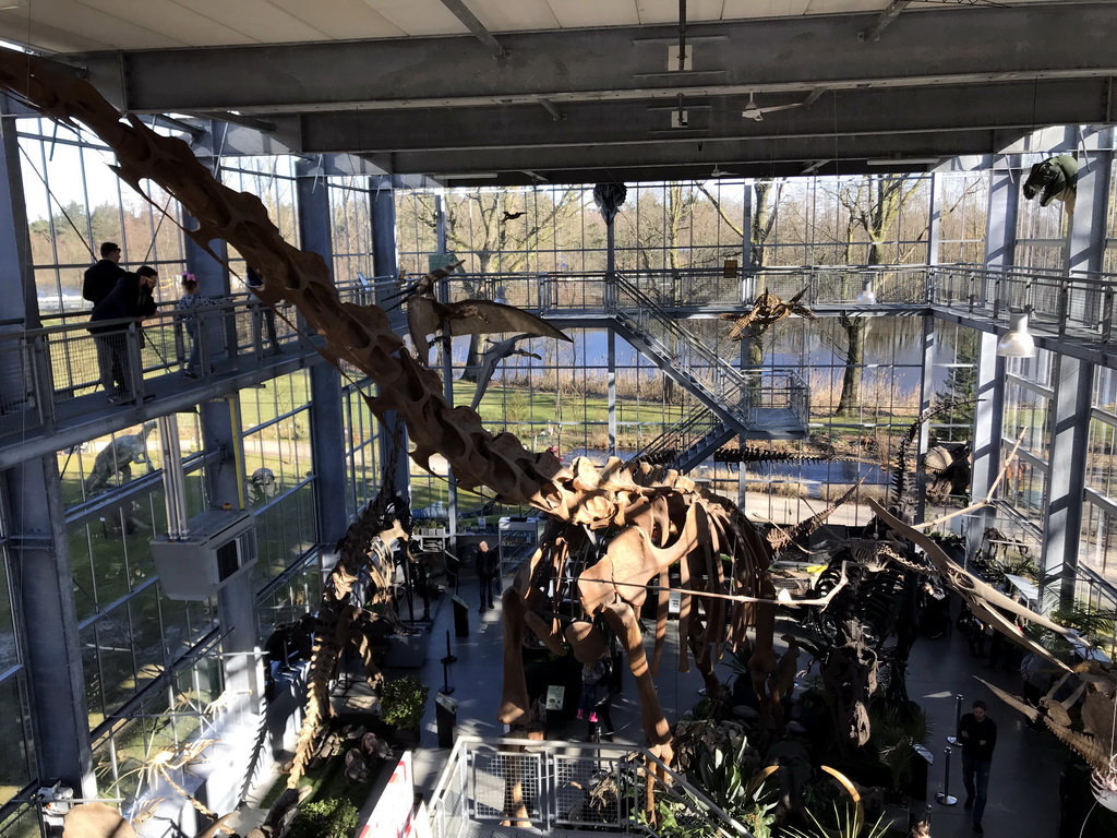 The Dinohal building of the Oertijdmuseum, viewed from the Upper Floor