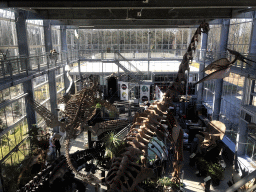 The Dinohal building of the Oertijdmuseum, viewed from the Upper Floor