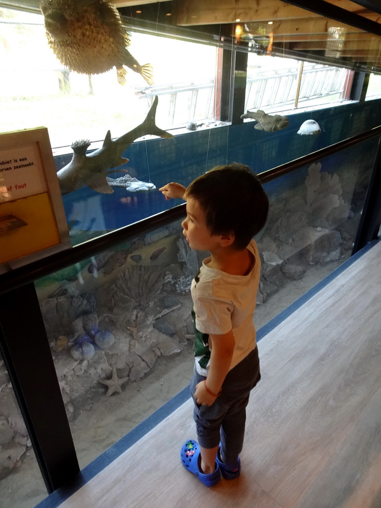 Max with a stuffed shark at the walkway from the Lower Floor to the Upper Floor at the Museum Building of the Oertijdmuseum
