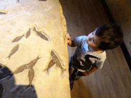 Max with fossilized fish at the Upper Floor of the Museum Building of the Oertijdmuseum