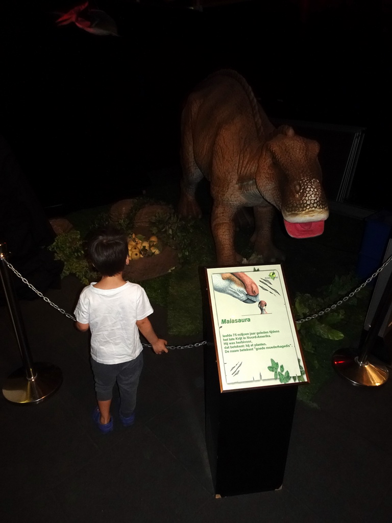 Max with a Maiasaura statue at the Upper Floor of the Museum Building of the Oertijdmuseum, with explanation