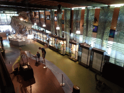 Skeleton of Casper the Sperm Whale above the Lower Floor of the Museum Building of the Oertijdmuseum, viewed from the Upper Floor