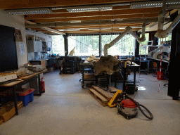 Rock with Triceratops bones at the paleontological laboratory at the Upper Floor of the Museum Building of the Oertijdmuseum