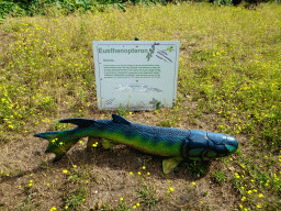 Statue of an Eusthenopteron in the Garden of the Oertijdmuseum, with explanation