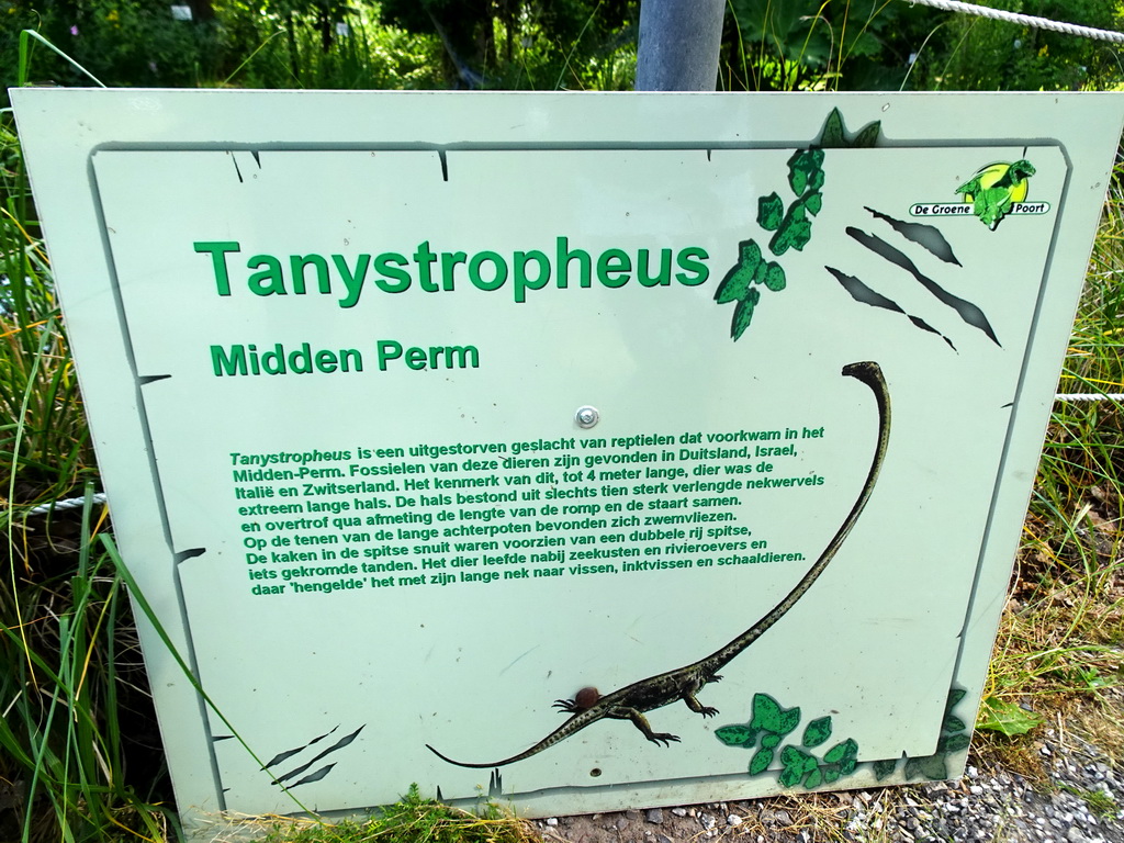 Explanation on the Tanystropheus in the Garden of the Oertijdmuseum