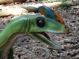 Head of a statue of a Guanlong in the Oertijdwoud forest of the Oertijdmuseum