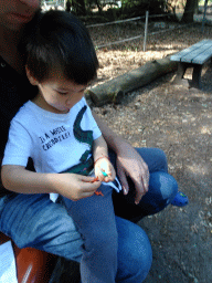 Max playing with dinosaur toys in the Oertijdwoud forest of the Oertijdmuseum