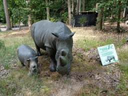 Statues of Etruscan Rhinoceroses in the Oertijdwoud forest of the Oertijdmuseum, with explanation