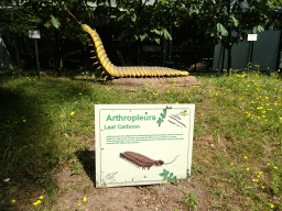 Statue of an Arthropleura in the Garden of the Oertijdmuseum, with explanation