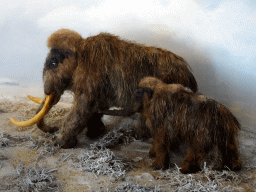 Mammoth statuettes at a miniature prehistoric camp site in the hallway from the Dinohal building to the Museum building of the Oertijdmuseum