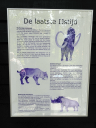 Information on the animals of the last ice age in the hallway from the Dinohal building to the Museum building of the Oertijdmuseum