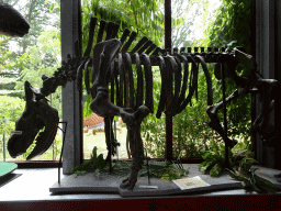 Skeleton of a Woolly Rhinoceros in the hallway from the Dinohal building to the Museum building of the Oertijdmuseum, with explanation