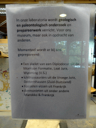Information on the research at the paleontological laboratory at the Upper Floor of the Museum Building of the Oertijdmuseum