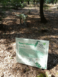 Statue of a Hypsilophodon at the Oertijdwoud forest of the Oertijdmuseum, with explanation