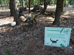 Statue of a Ornitholestes at the Oertijdwoud forest of the Oertijdmuseum, with explanation