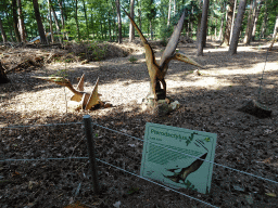 Statues of Pterodactyluses at the Oertijdwoud forest of the Oertijdmuseum, with explanation