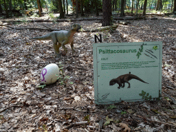 Statue of a Psittacosaurus at the Oertijdwoud forest of the Oertijdmuseum, with explanation