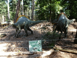 Statues of Spinosauruses at the Oertijdwoud forest of the Oertijdmuseum, with explanation