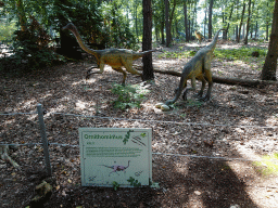 Statues of Ornithomimuses at the Oertijdwoud forest of the Oertijdmuseum, with explanation