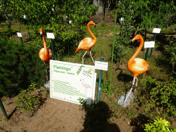 Statues of Flamingos at the Garden of the Oertijdmuseum, with explanation