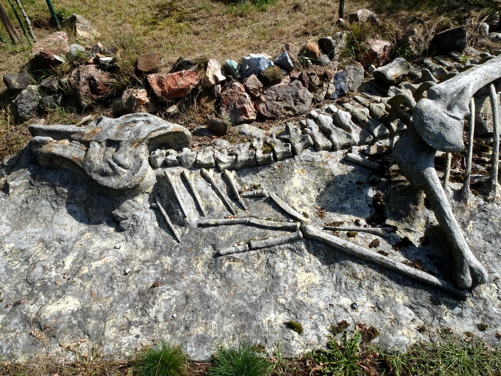 Skeleton of a Dinosaur in the Garden of the Oertijdmuseum