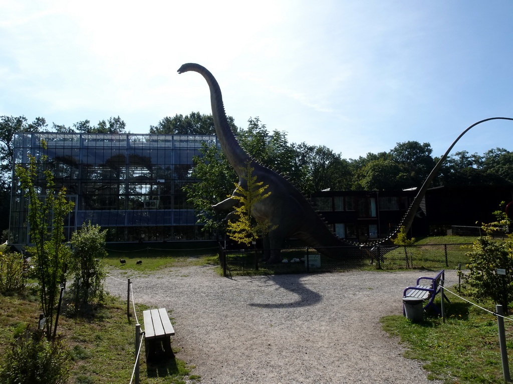 Statue of a Diplodocus in front of the Dinohal building of the Oertijdmuseum