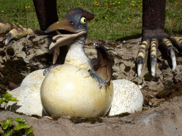 Statue of a Cearadactylus in an egg at the entrance to the Oertijdmuseum at the Bosscheweg street