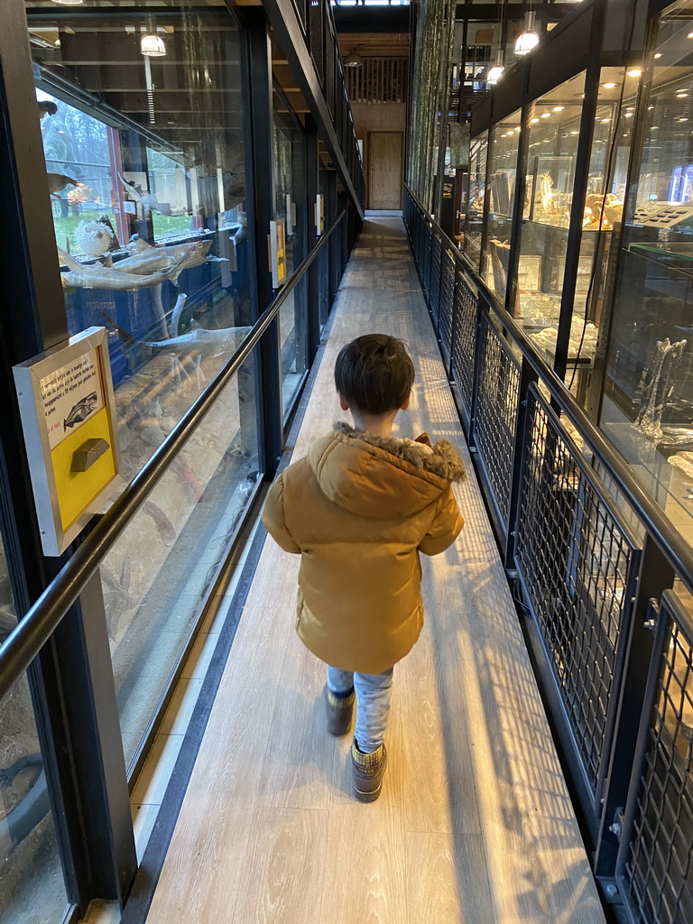 Max at the walkway from the Lower Floor to the Upper Floor at the Museum Building of the Oertijdmuseum