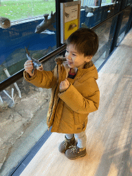 Max with a shark toy at the walkway from the Lower Floor to the Upper Floor at the Museum Building of the Oertijdmuseum