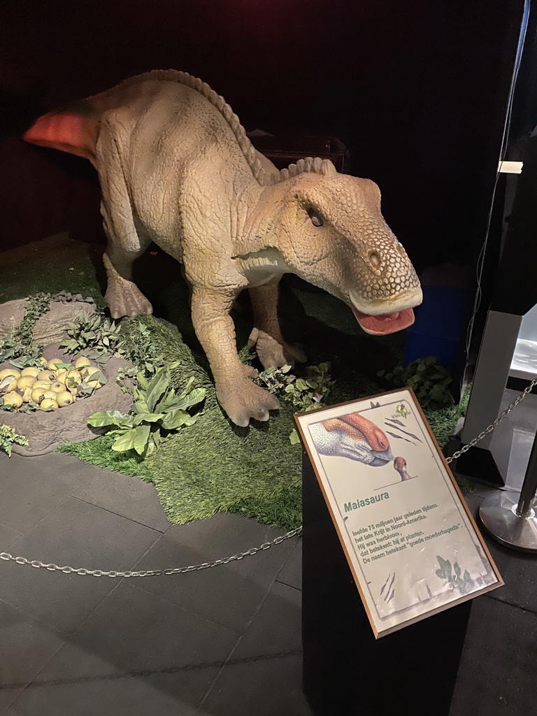 Maiasaura statue at the Upper Floor of the Museum Building of the Oertijdmuseum, with explanation