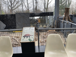 Tim and Max in the mirror at the excavation site with skeletons of a Tarbosaurus and a Saichania at the Lower Floor of the Dinohal building of the Oertijdmuseum, with explanation