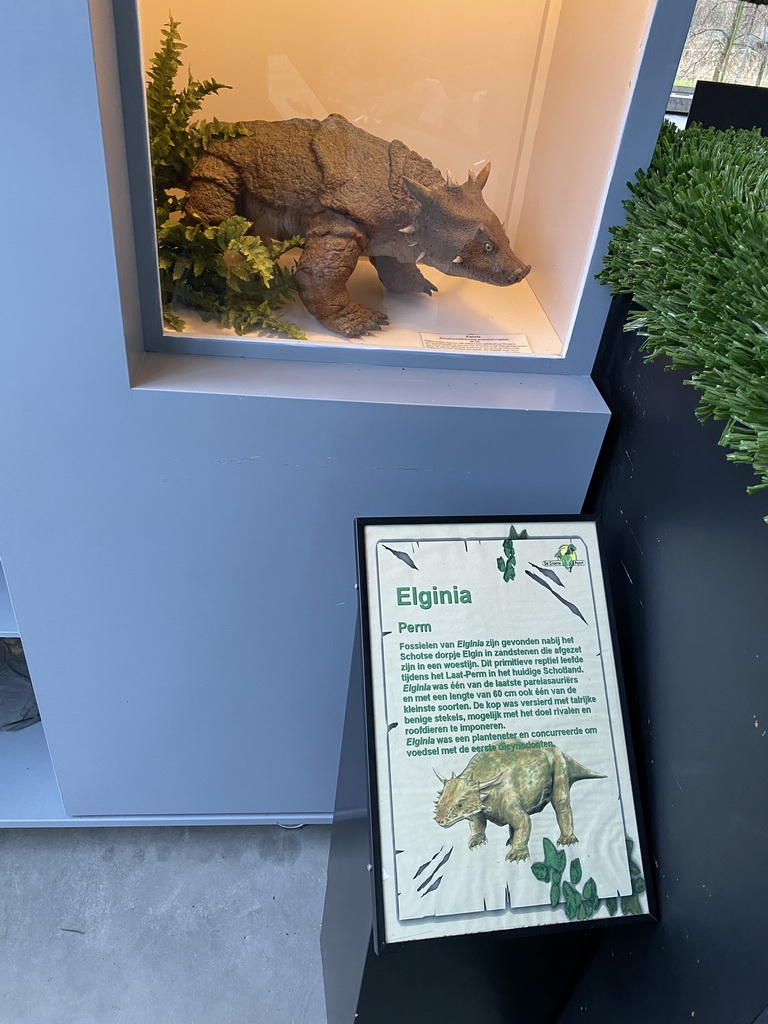 Elginia statue at the Lower Floor of the Dinohal building of the Oertijdmuseum, with explanation