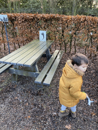 Max playing with the Dino Hunter Boxtel app in the Garden of the Oertijdmuseum