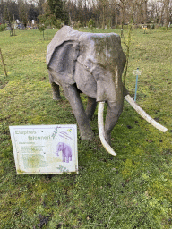 Pygmy Elephant statue in the Garden of the Oertijdmuseum, with explanation