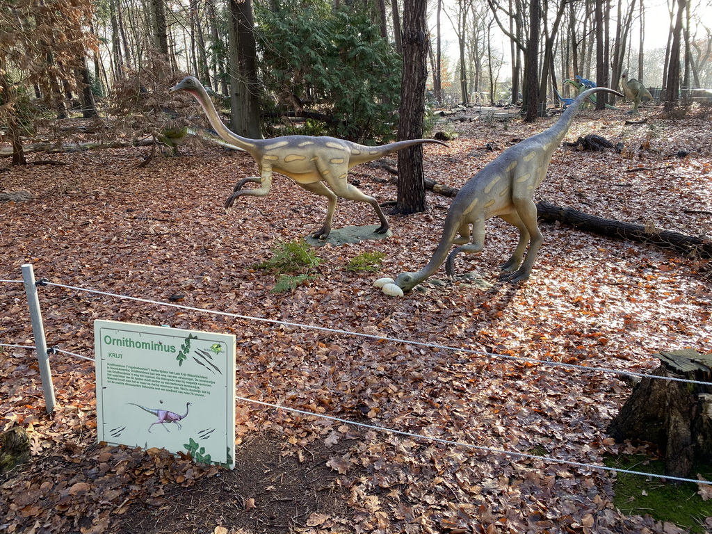 Ornithomimus statues in the Oertijdwoud forest of the Oertijdmuseum, with explanation