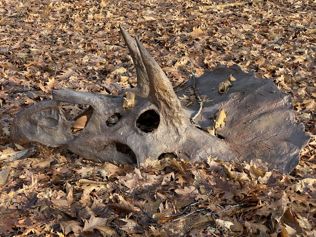 Statues of Purgatoriuses on the skull of a Triceratops in the Oertijdwoud forest of the Oertijdmuseum