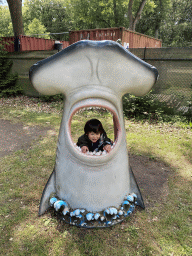 Max in a statue of the head of a Hammerhead Shark at the playground in the Oertijdwoud forest of the Oertijdmuseum