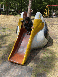 Max on a slide at the playground in the Oertijdwoud forest of the Oertijdmuseum