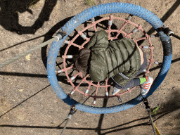 Max on a swing at the playground in the Oertijdwoud forest of the Oertijdmuseum