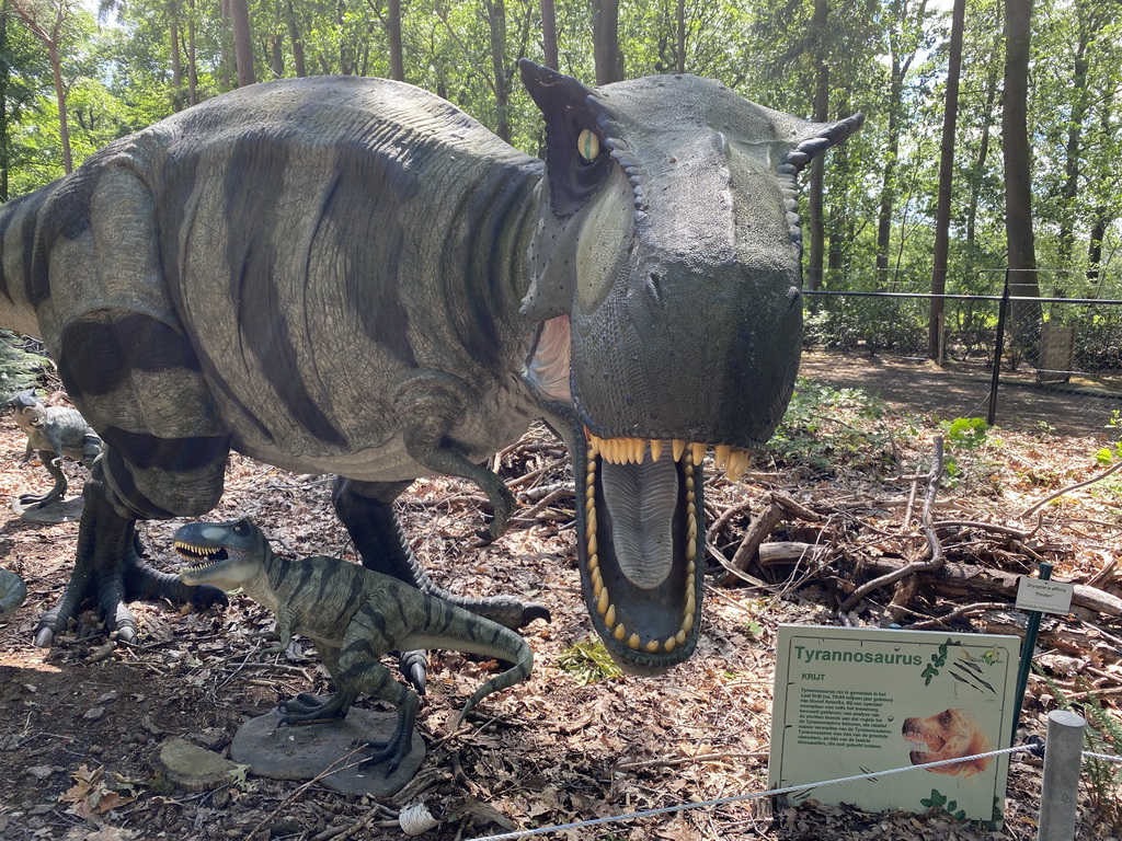 Statues of Tyrannosaurus Rex in the Oertijdwoud forest of the Oertijdmuseum, with explanation