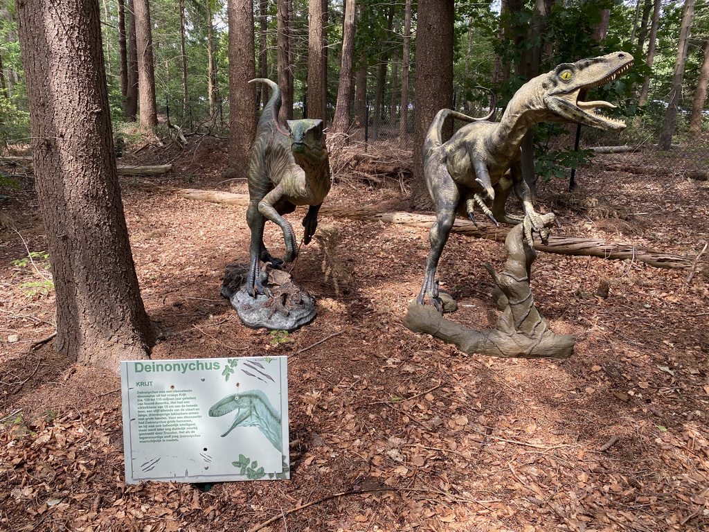 Statues of Deinonychuses in the Oertijdwoud forest of the Oertijdmuseum, with explanation