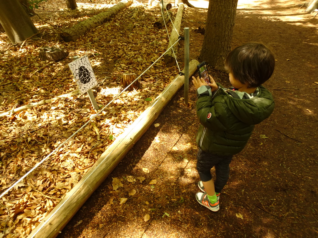 Max playing with the Dino Hunter Boxtel app in the Garden of the Oertijdmuseum