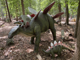 Stegosaurus statues in the Oertijdwoud forest of the Oertijdmuseum, with explanation