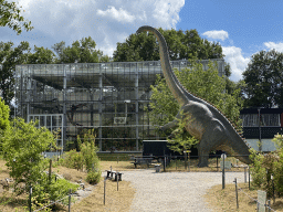 Statue of a Diplodocus in front of the Dinohal building of the Oertijdmuseum, viewed from the Garden
