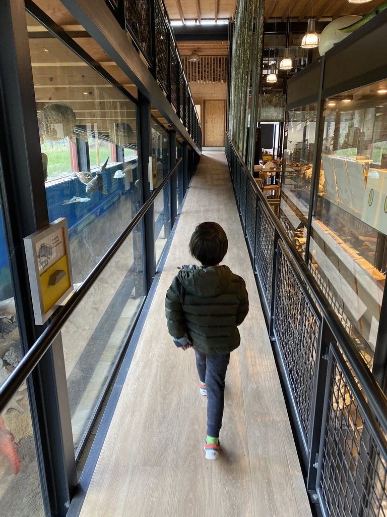 Max at the walkway from the Lower Floor to the Upper Floor at the Museum Building of the Oertijdmuseum